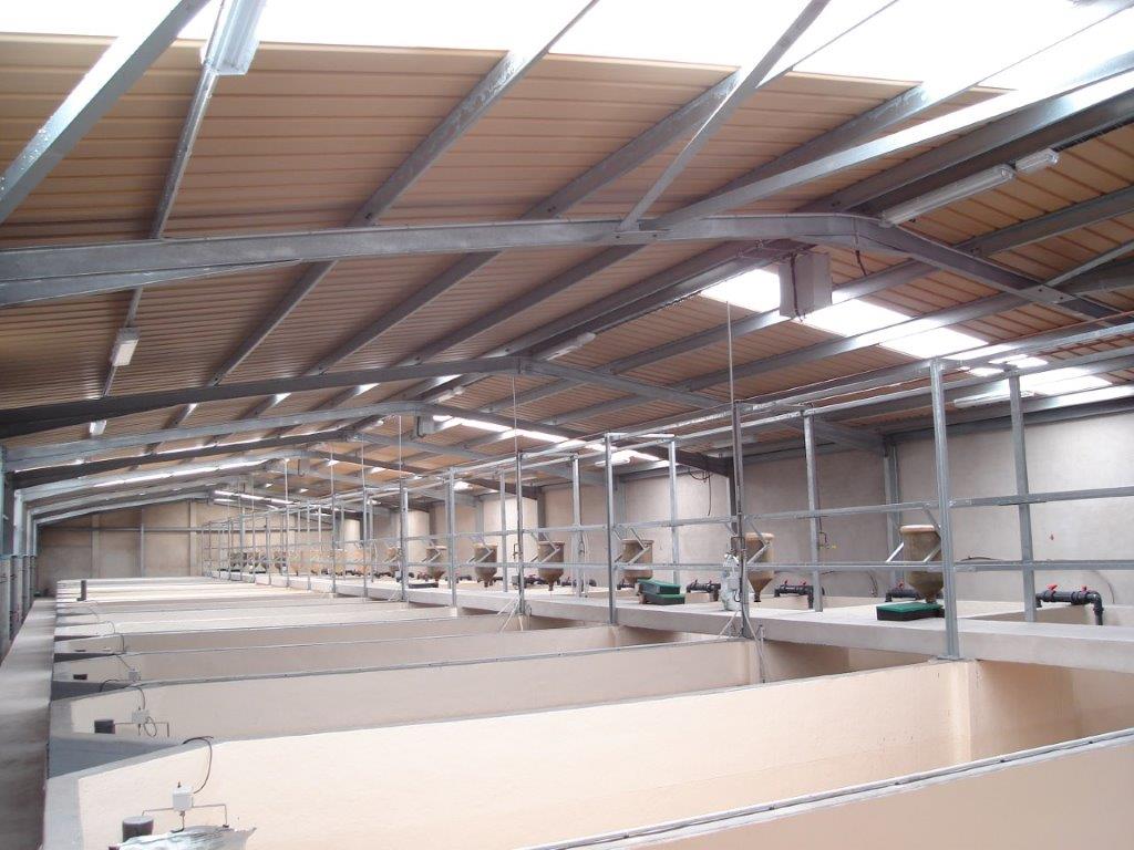 Estructuras y pasarelas para instalación acuícola